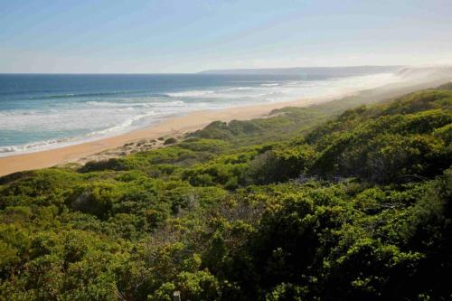 Sunset Dunes, Wilderness (foto 9)