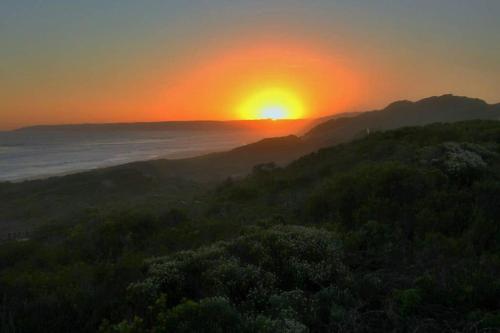 Sunset Dunes