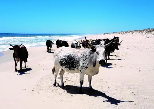 . Wamakersvlei Beach Farm