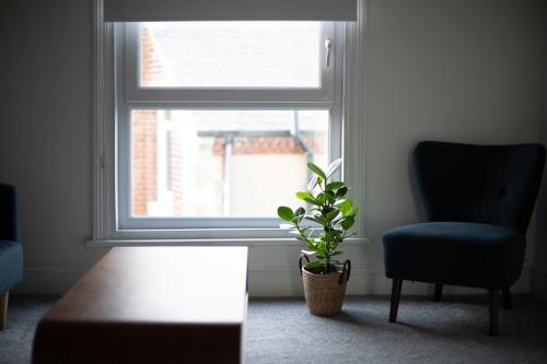 Picture of Sea Front Apartment