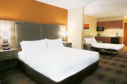 Holiday Inn Express Hotel & Suites Elk Grove Ctrl - Sacramento S