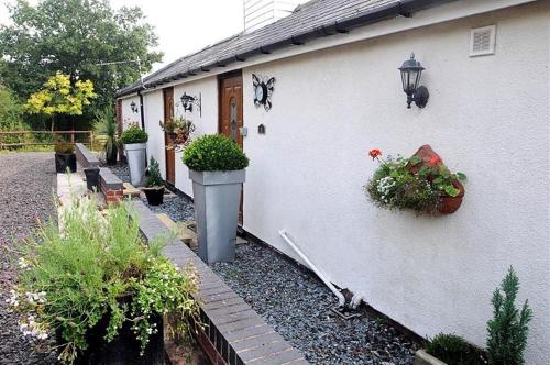 Little Rushbrook Cottages - image 9