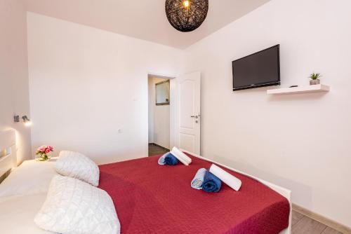 Apartments Ursula - image 11
