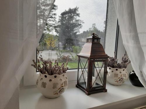 Landlust! in ฮอยเอิร์สแวร์ดา