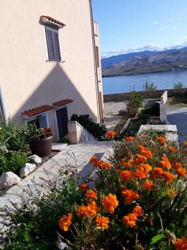 Apartments by the sea Pag - 6526 - image 12