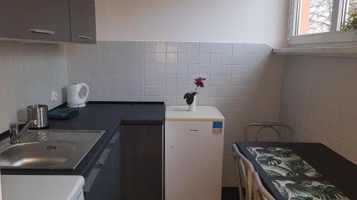 Sand Apartment, Wrocław (photo 6)