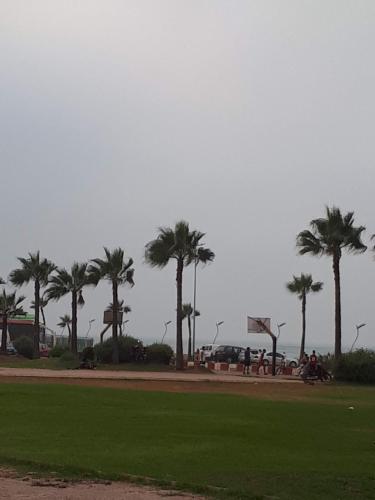 Garden, Dream House Sidi Rahal Beach in Sidi Rahal