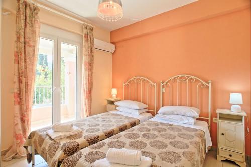 The Doctors House - image 9