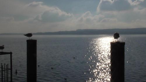 NEU ... in 2 min. am Bodensee, Überlingen (photo 3)