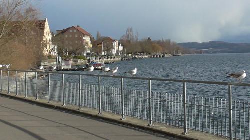 NEU ... in 2 min. am Bodensee 178m von Franziskanerkirche entfernt