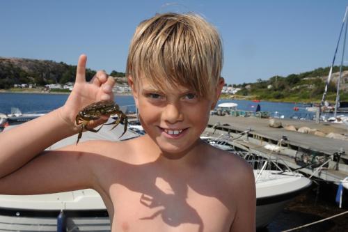 Saltviks Stugby & Camping - image 4
