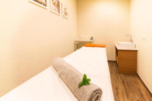 Hostal Trainera - image 12