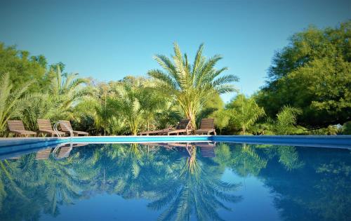 Estancia del Olivo in Nonogasta