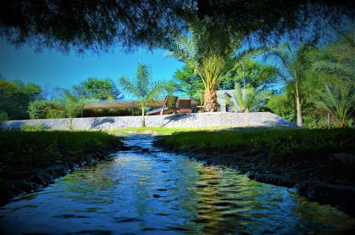 Estancia del Olivo in Nonogasta