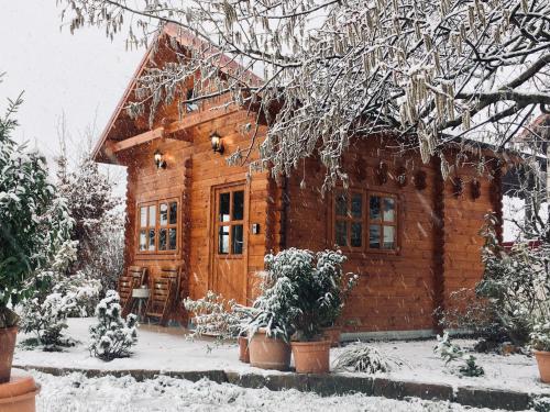 Ferienhaus Kleine Pfalz in Ranschbach