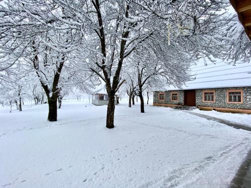 Peraj Guesthouse