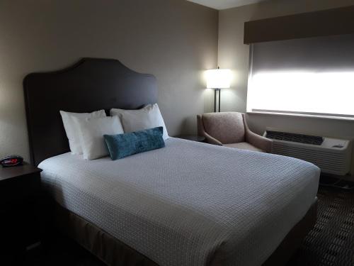 Best Western TimberRidge Inn - image 5