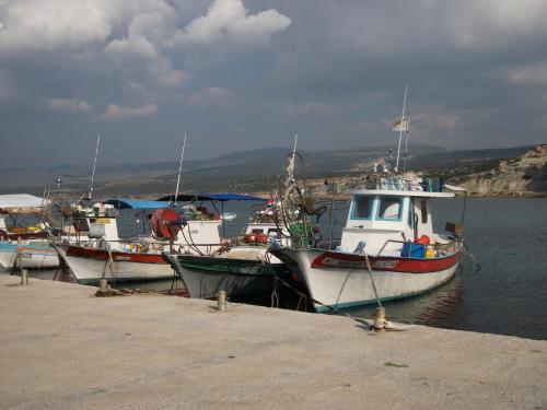 Villa Laurel, Peyia (foto 4)