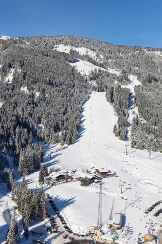 Walchauhof in Flachau, Österreich