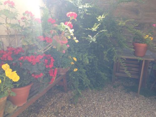 Peaseblossom House, a charming Grade II Listed Building, in a great location in Alnwick Peaseblossom House, a charming Grade II Listed Building, in a great location in Alnwick