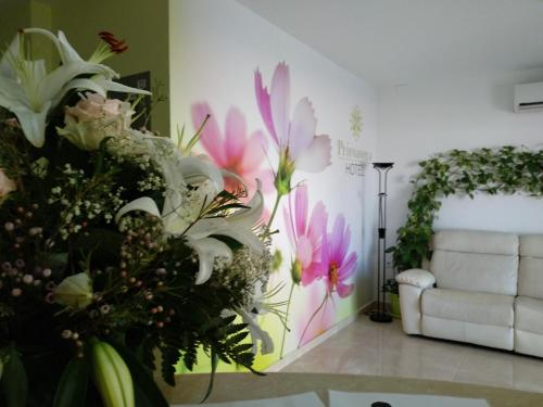 Hotel Primavera in Calasparra