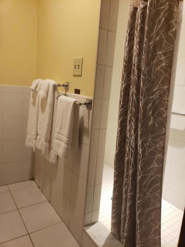 Salvatores Grand Hotel in Williamsville, USA