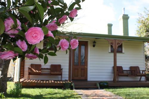 Westbury Gingerbread Cottages