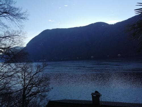 Bungalow-Seaesta-Blue-direkt-am-Lago-di-Lugano