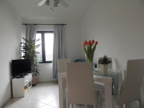 Apartments Suljic - Cash Only Property in Stari Grad