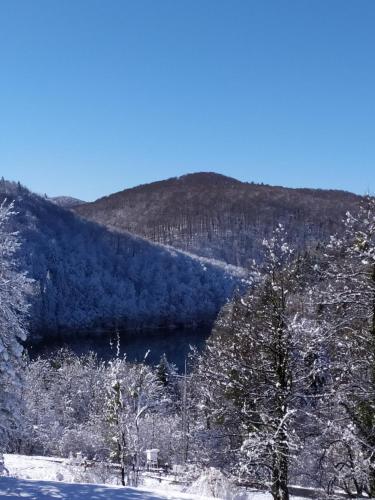  Apartment Ivano in Rakovica