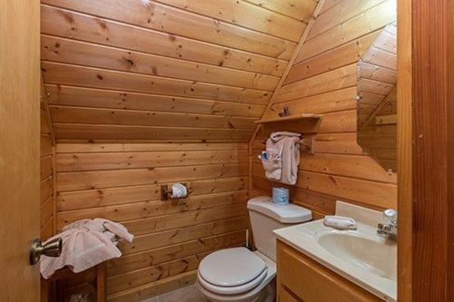 Ultimate Seclusion Cabin - image 5