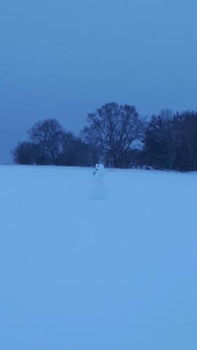 Ferienwohnungen! Kleine Bungalows mit Terrasse! in Eschborn