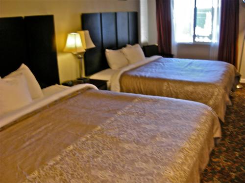 2 king beds