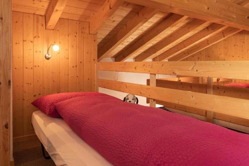 Hotel Alpenblick - image 12