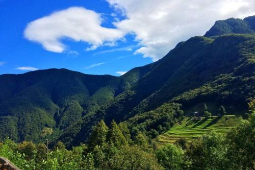 Wild Valley Tiny Escape in Onsernone