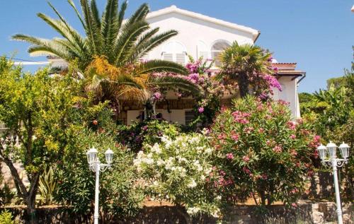 Apartments and rooms by the sea Molunat Dubrovnik - 17143