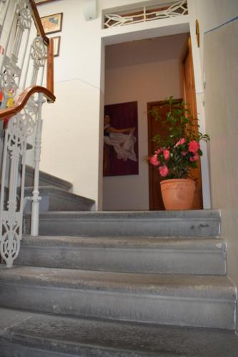 Hotel Dalmazia - main image