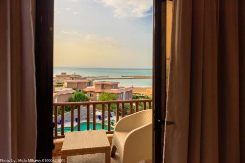 BeachView Turtles in الأحياء