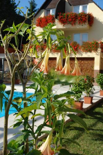 ALFA Hotel & Wellness Miskolctapolca - image 13