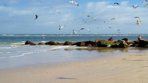 Foto - The Saint Augustine Beach House