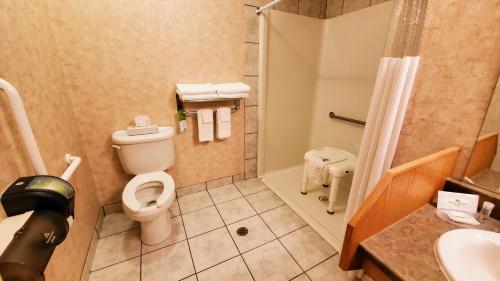 Queen Room - Disability Access/Non-Smoking