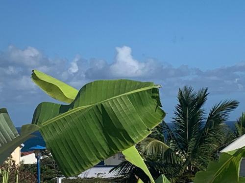Bleu Cannelle et Petimo Bleu Cannelle et Petimo