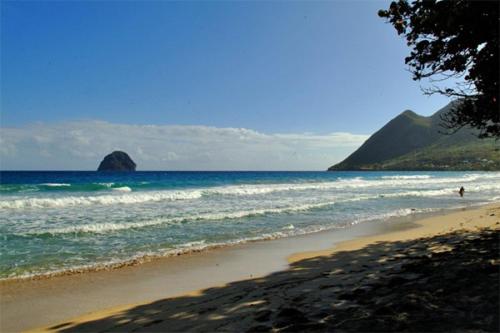 Bleu Cannelle et Petimo Bleu Cannelle et Petimo