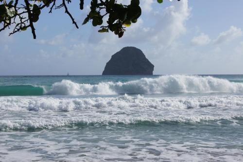 Bleu Cannelle et Petimo Bleu Cannelle et Petimo