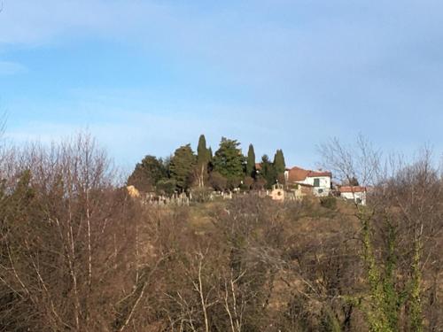 THE MONTEVECCHIA HOME - FRIDA APARTMENT