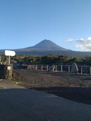  Baco´s Vineyard in Lajido