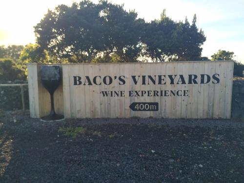  Baco´s Vineyard in Lajido