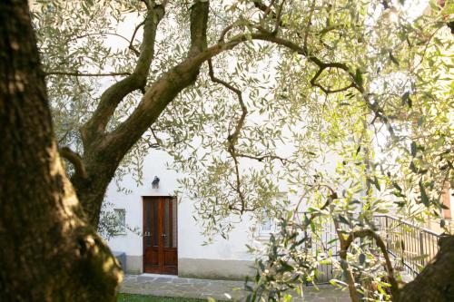 IseoLakeRental - Casa La Rondine - image 11