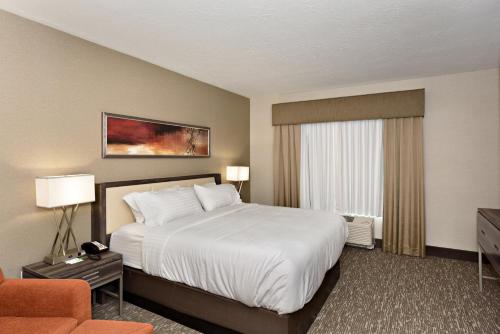 1 king bed, 1 sofa bed