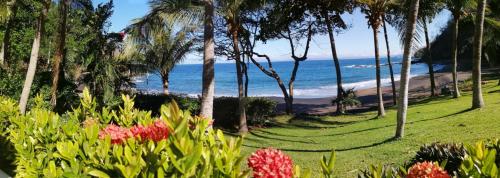 Bahia Pez Vela Resort